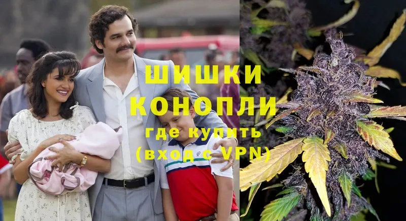 купить   Соликамск  Конопля Ganja 